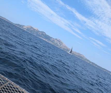 North Mallorca Charters Day Tours-波连萨必去景点