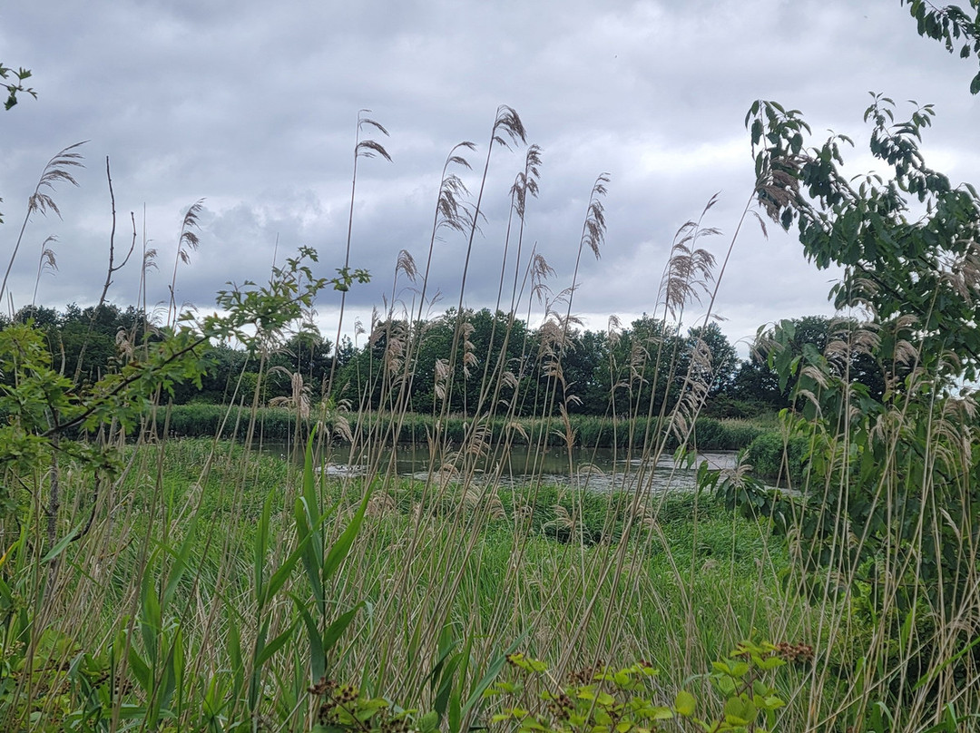 Port Sunlight River Park-Port Sunlight必去景点