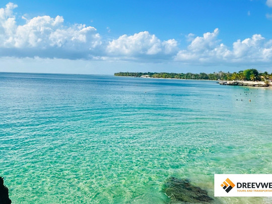 Dreevwey Tours and Transportation