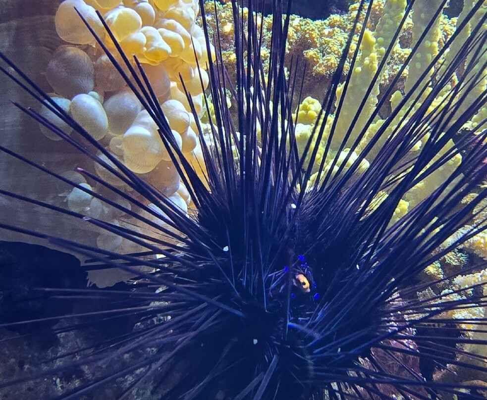 Aquarium de Lyon-La Mulatiere必去景点
