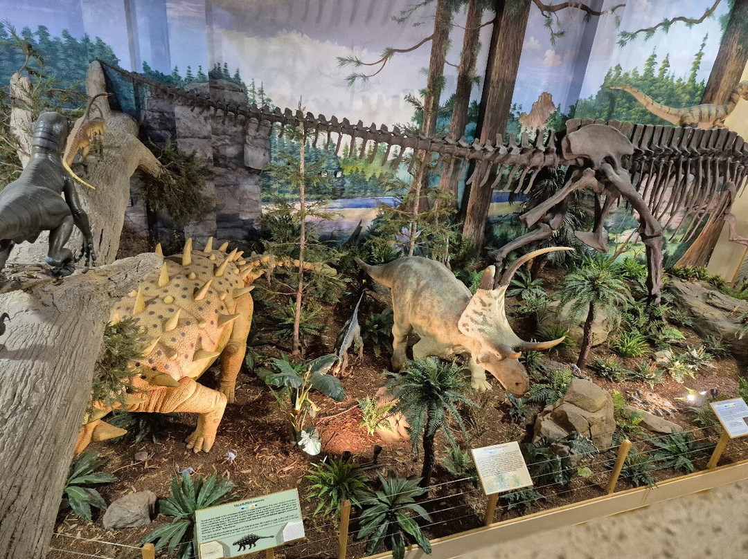 The Dinosaur Store-可可海滩必去景点