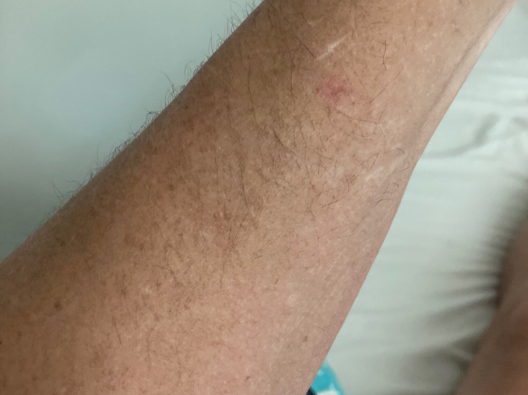 La Quinta Inn & Suites by Wyndham Boone University主图