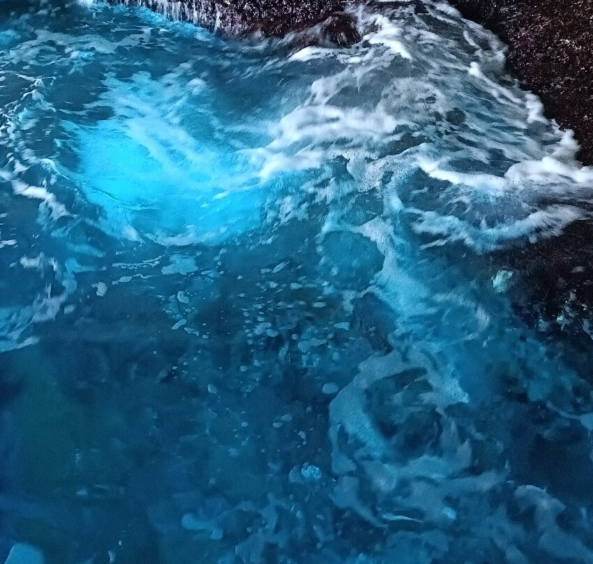 Theodosis Cruises-扎金索斯必去景点