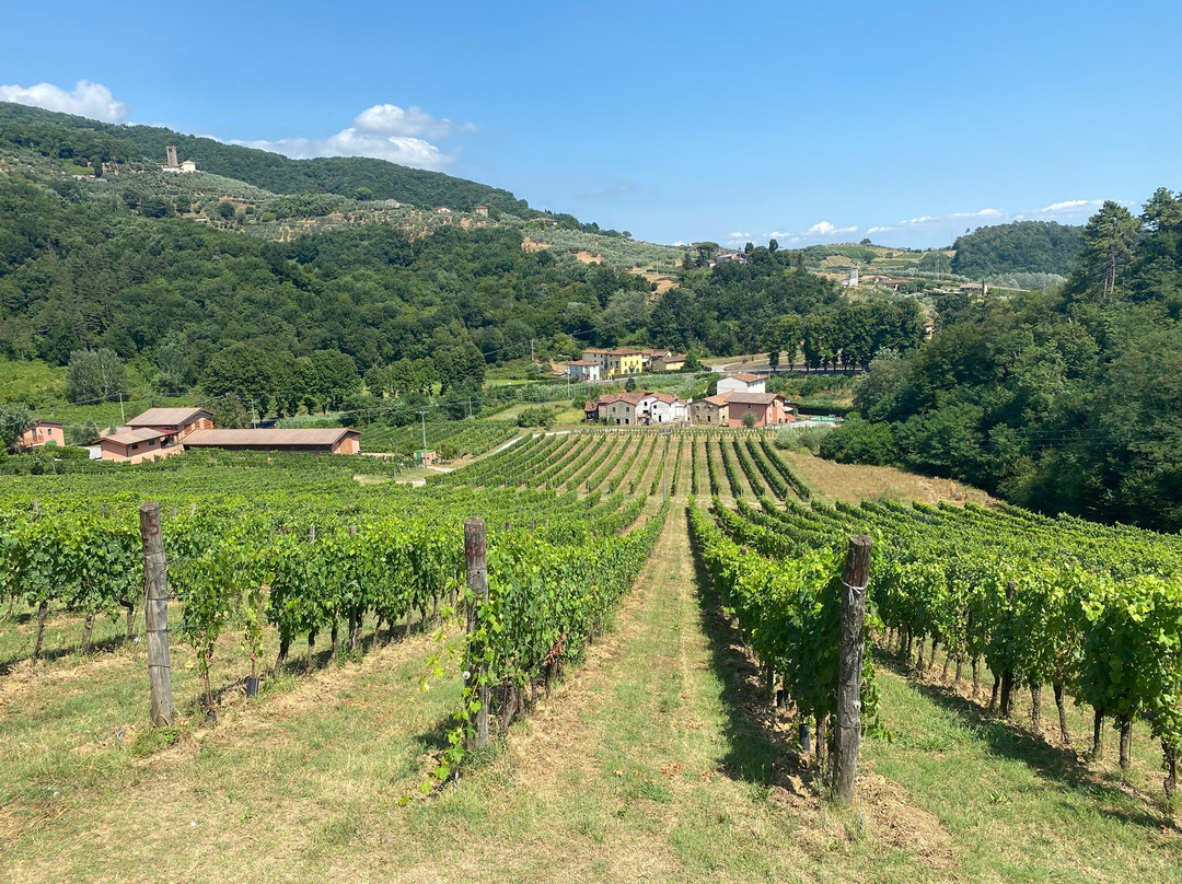 Tenuta Adamo Winery