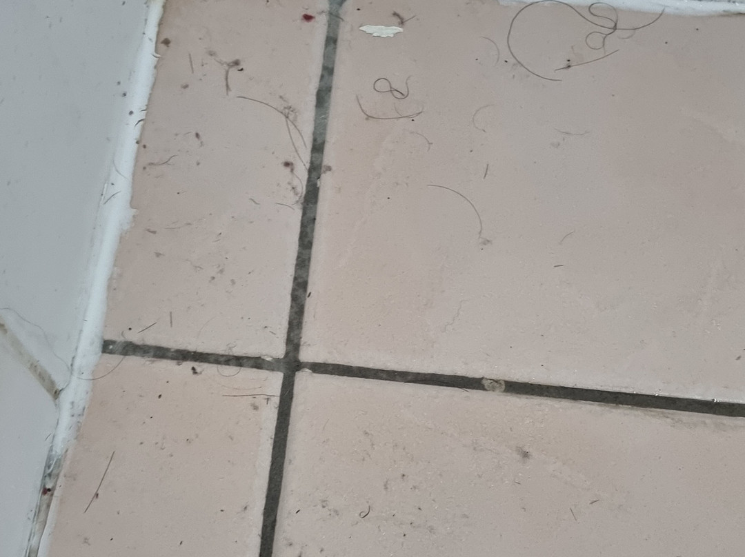 Cosmopolitan Motel & Serviced Apts主图