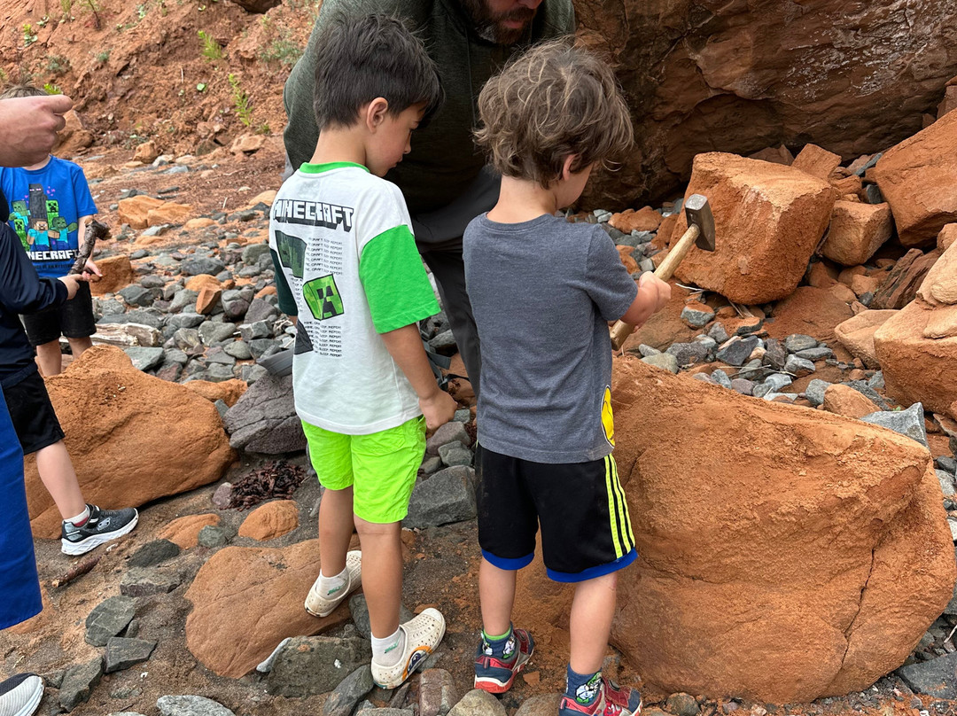 Fundy Treasure Tours-Joggins必去景点