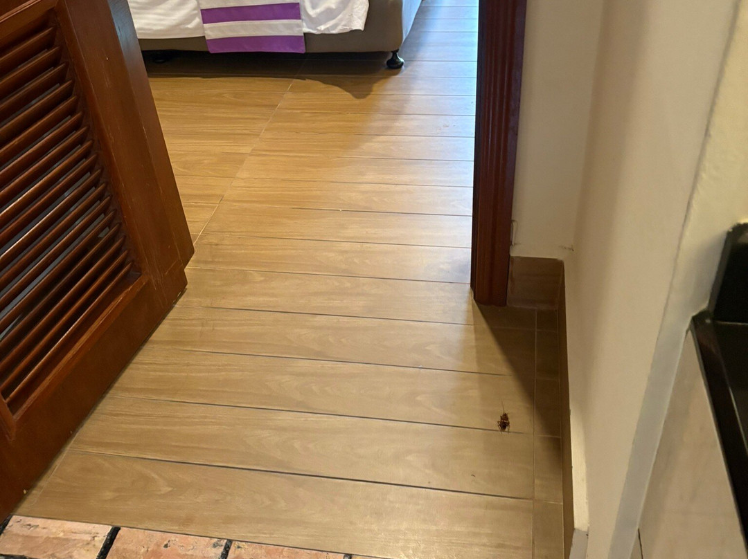 迪克森雷克斯港酒店主图