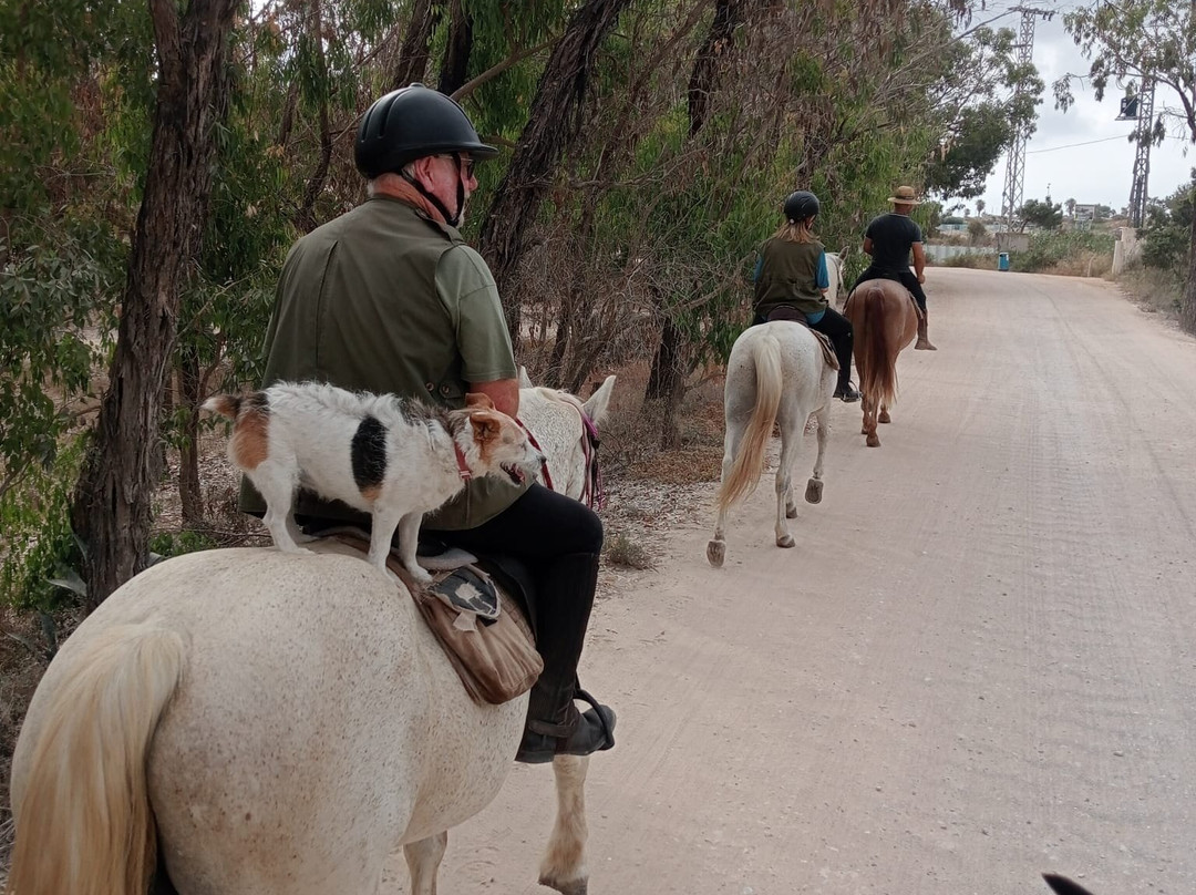 Jess's Pony Express-Catral必去景点