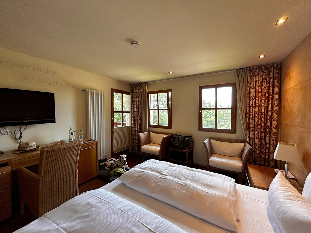 BollAnts Spa Im Park主图