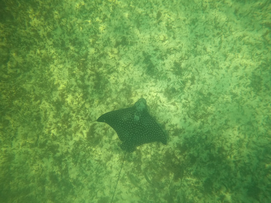 La Tempestad Tours-Mahahual必去景点