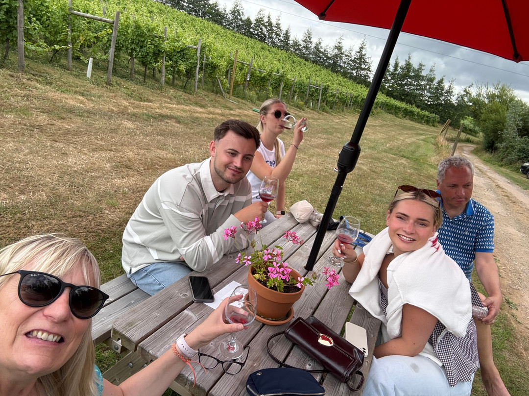 Huxbear Vineyard-Hennock必去景点
