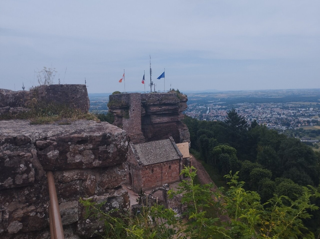 Chateau du Haut-Barr-Saverne必去景点
