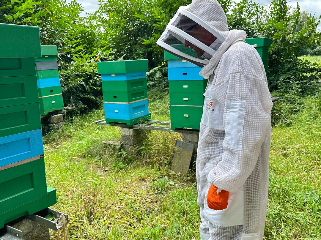 Killarney Bee Walks and Honey-基拉尼必去景点