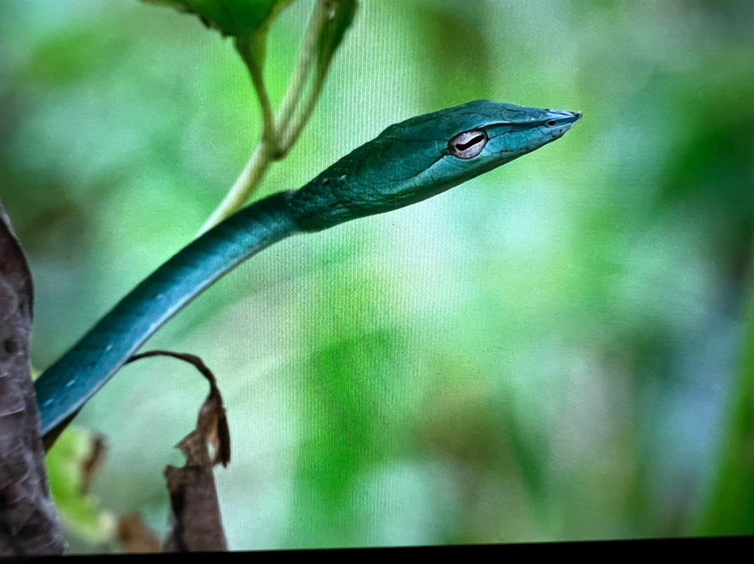 Shan Lanka Tours - Travel with Rukmal-Marawila必去景点