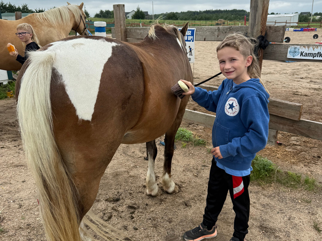 Christine's Horseback Riding-卡尼必去景点