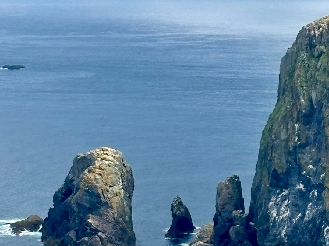Hebridean Sea Tours-Castlebay必去景点