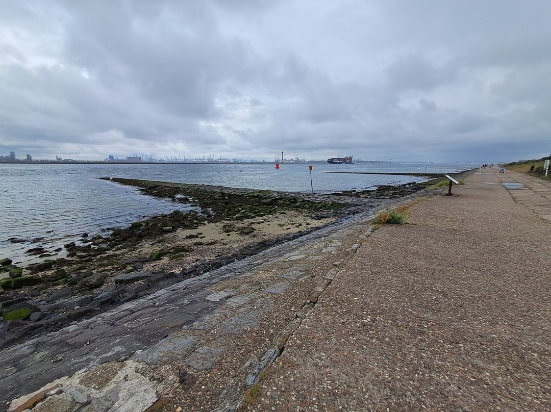 Naaktstrand Hoek van Holland-Hoek van Holland必去景点