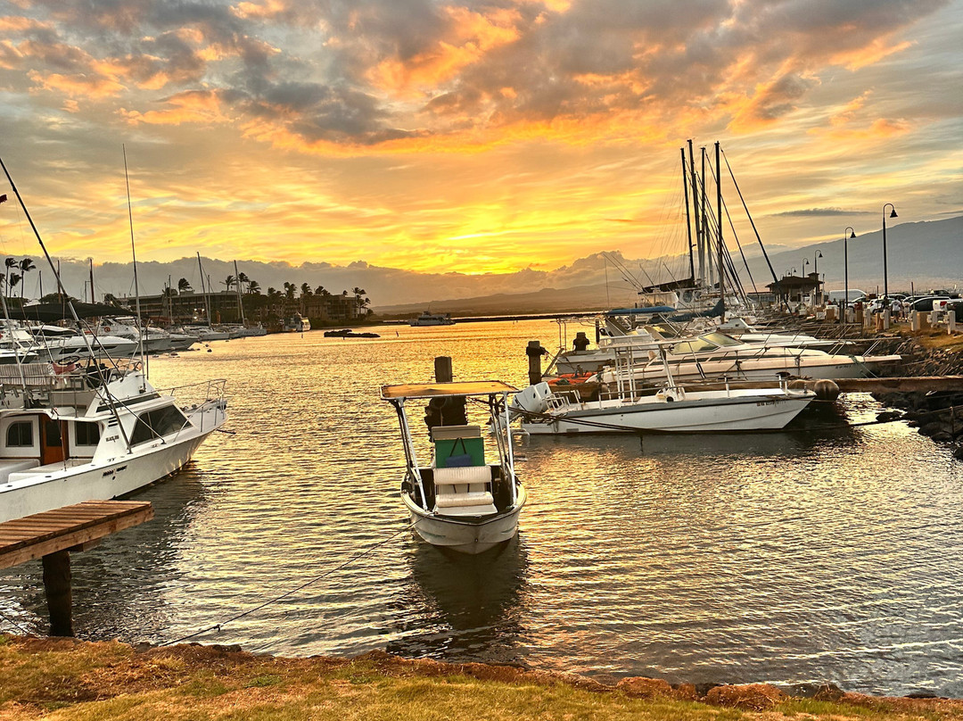 Strike Zone Sportfishing & Bottom Fishing-海库必去景点