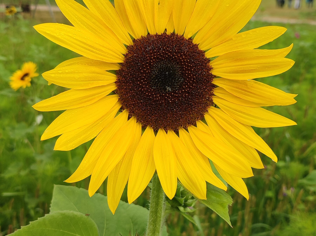 Le Jardin Extraordinaire-Lieurac必去景点