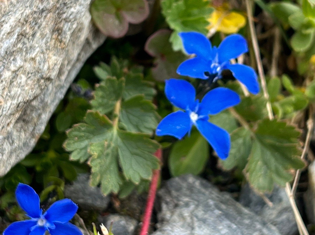 Gondel-Seilbahn Sulden - Funivia Solda-Solda必去景点