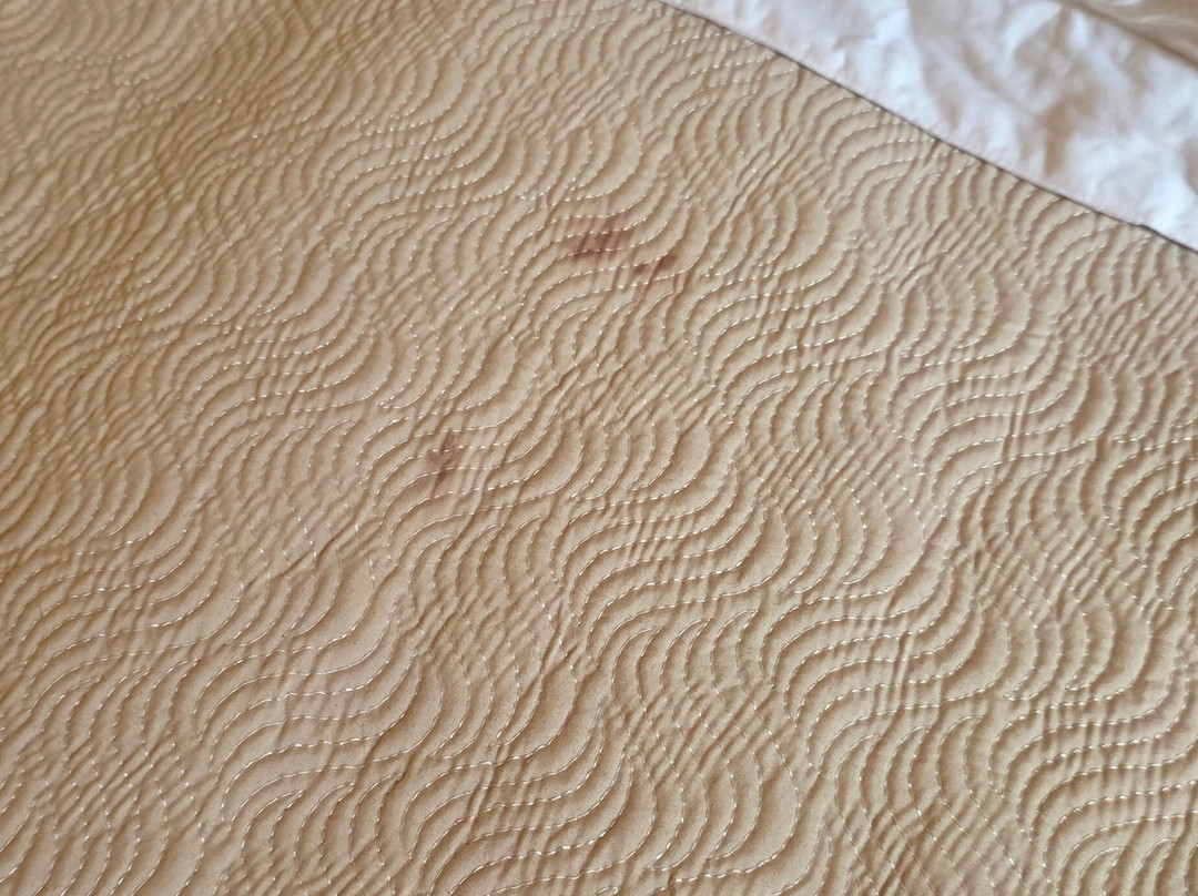 Horseback Mongolia-乌兰巴托必去景点