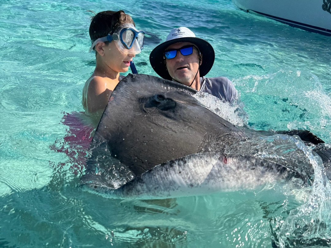 Blue Haven Charters-Rum Point必去景点