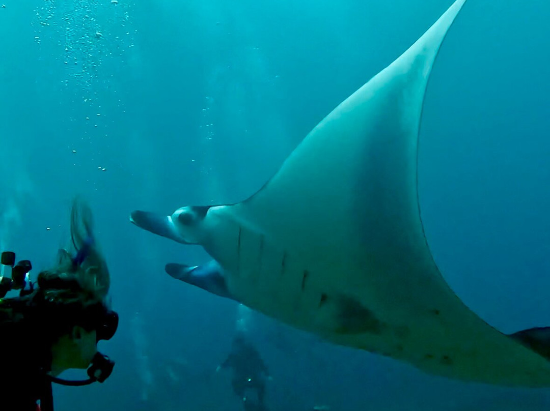 Tamarind Divers-蓝梦岛必去景点