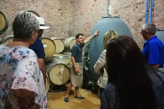 Vine Root Tours-斯泰伦博斯必去景点