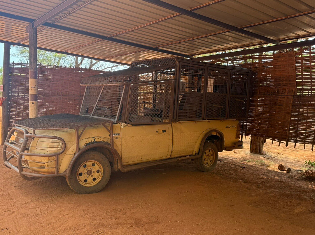 Reserve De Bandia-Saly必去景点