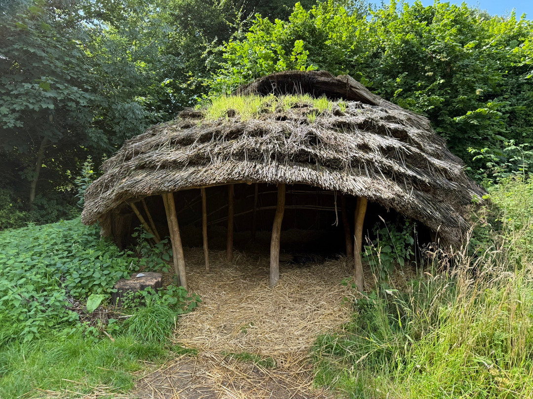 Steinzeitpark Dithmarschen-Albersdorf必去景点