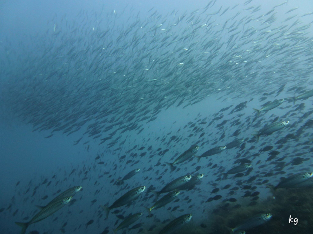 Agathonis Plongee-Agay必去景点