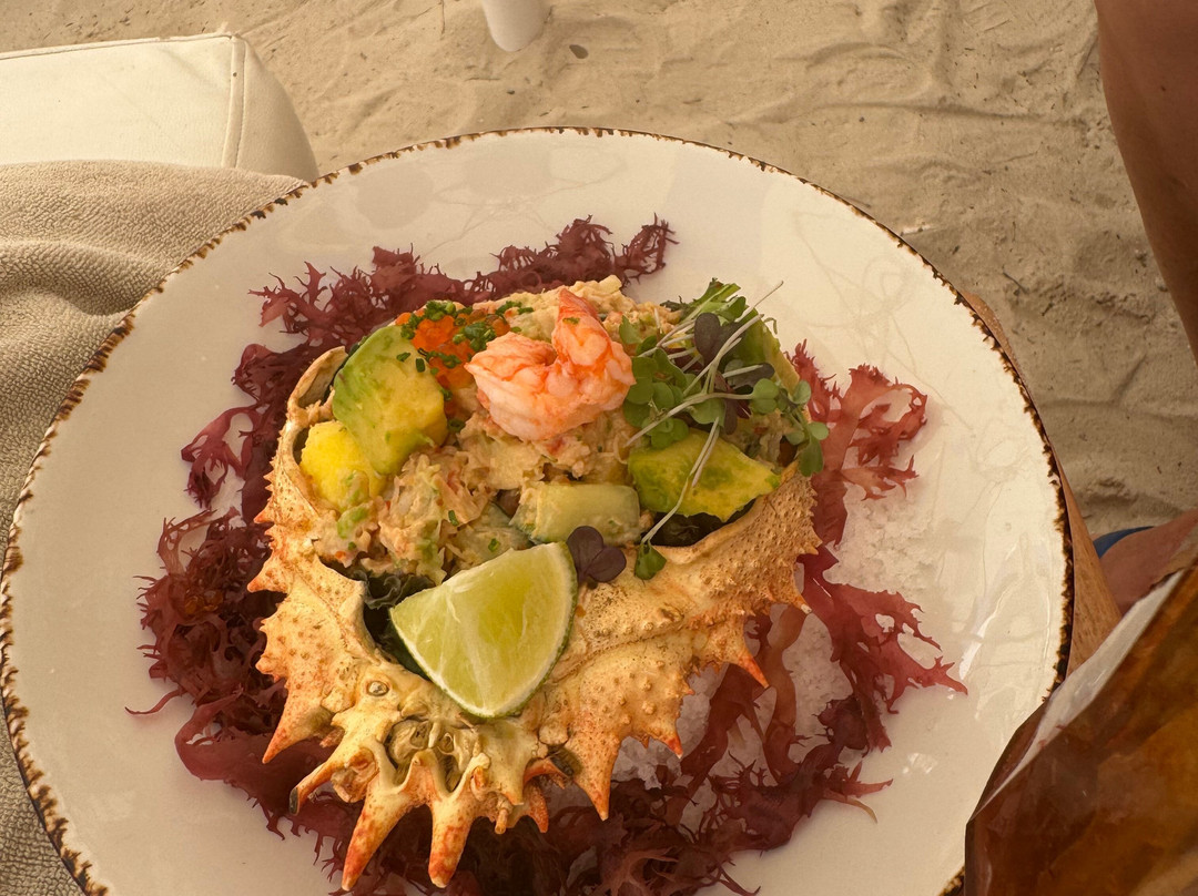 Nikki Beach Mallorca-马加洛夫必去景点