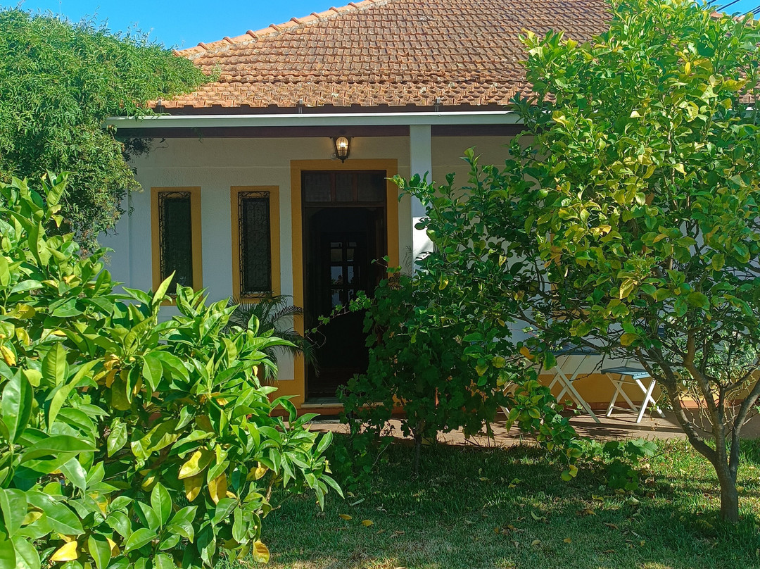 Casa dos Pingos de Mel Bed and Breakfast