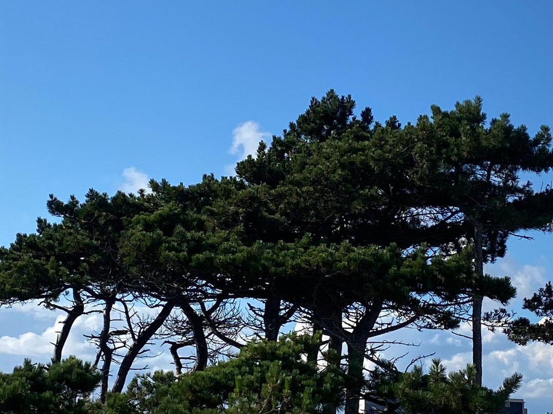 Nationalpark Mols Bjerge-Roende必去景点