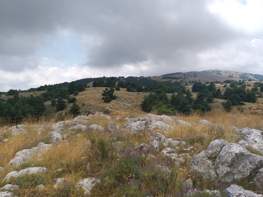 Plateau karstique de Caussols-Caussols必去景点