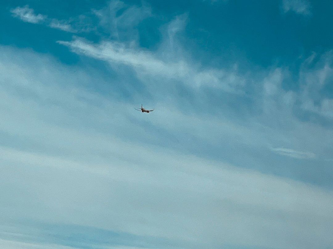 优品迎爱丁堡机场酒店(M9, Jct1)主图