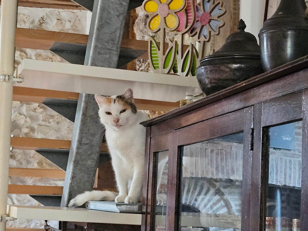 Le Chalet Champenois主图