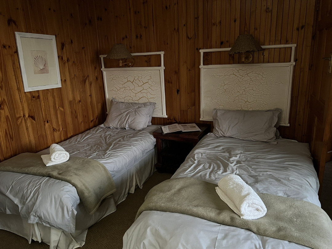 Wild Child Africa-彼得马里茨堡必去景点