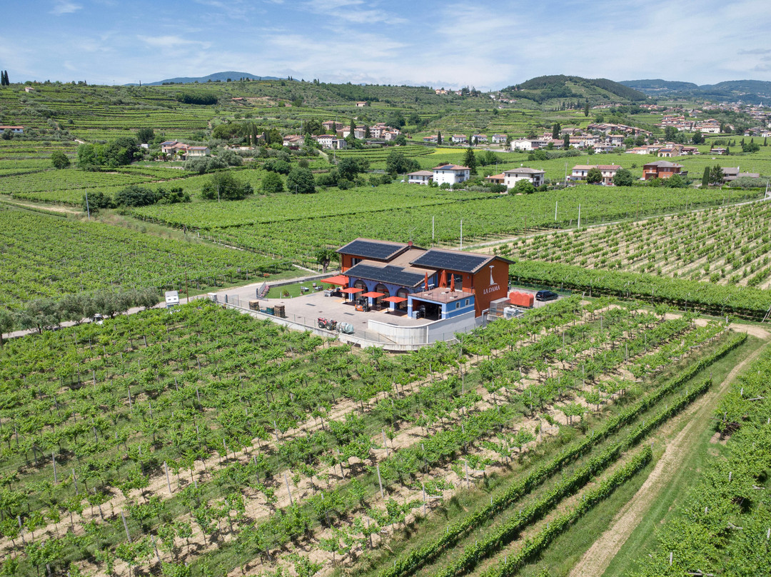 La Dama Vini-Negrar di Valpolicella必去景点
