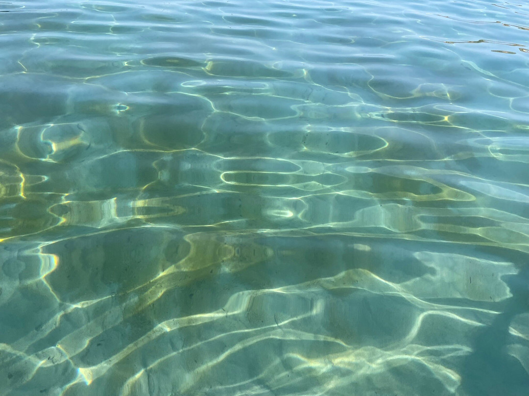 Platja De Sant Elm-Andratx必去景点