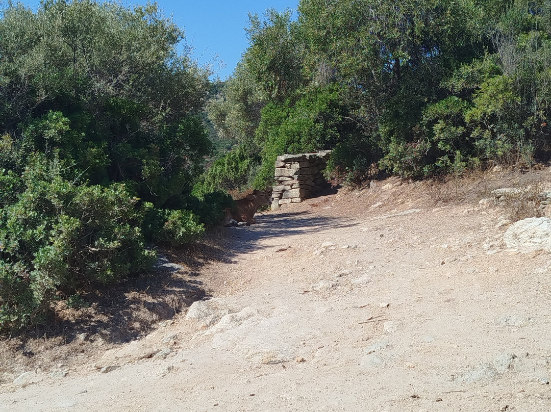 4x4 Agriates-Casta必去景点