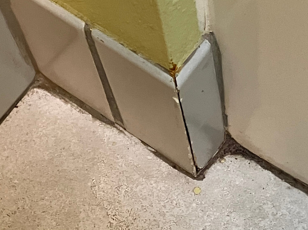 Super 8 by Wyndham Osseo主图