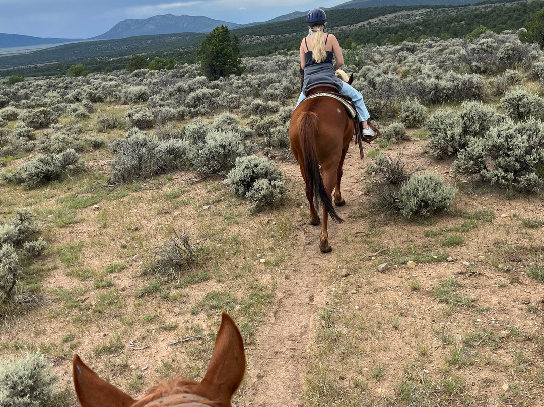 Rio Grande Stables-Questa必去景点