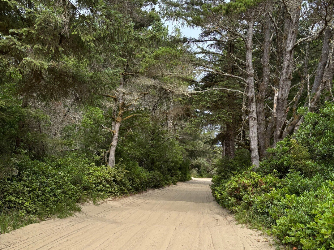 Torex ATV Rentals-弗洛伦斯必去景点