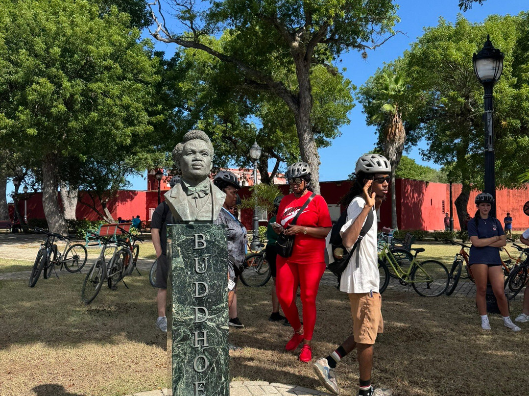 Island Life Adventures-Frederiksted必去景点