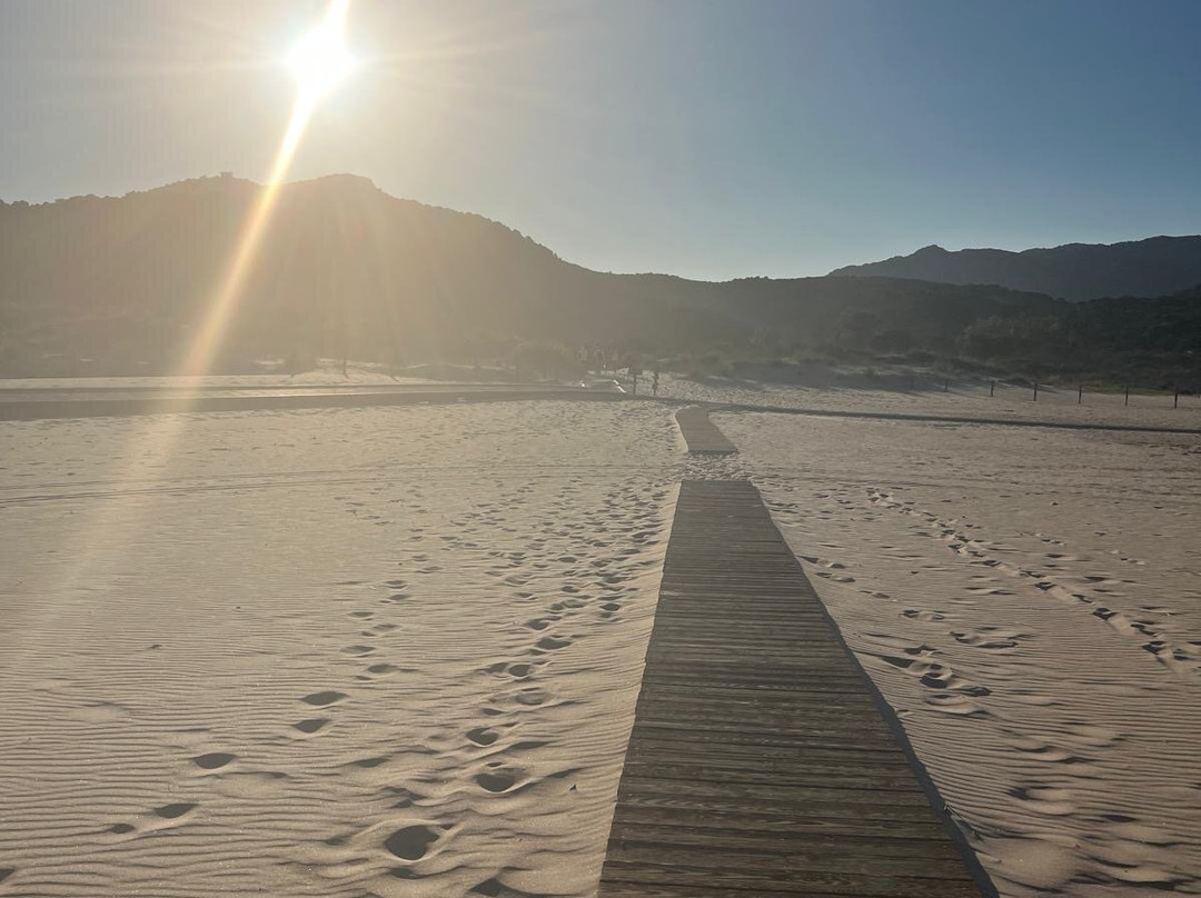 Waveproject-卡利亚里省必去景点