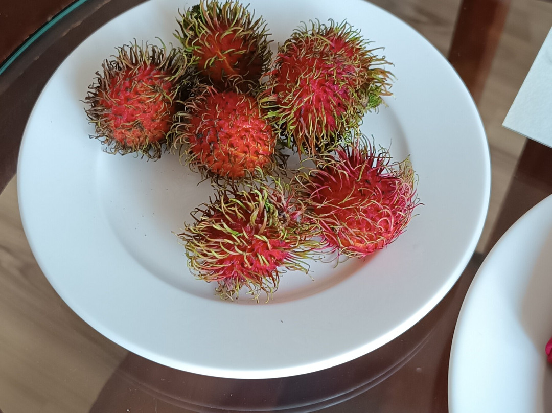 阳光海岸度假村主图