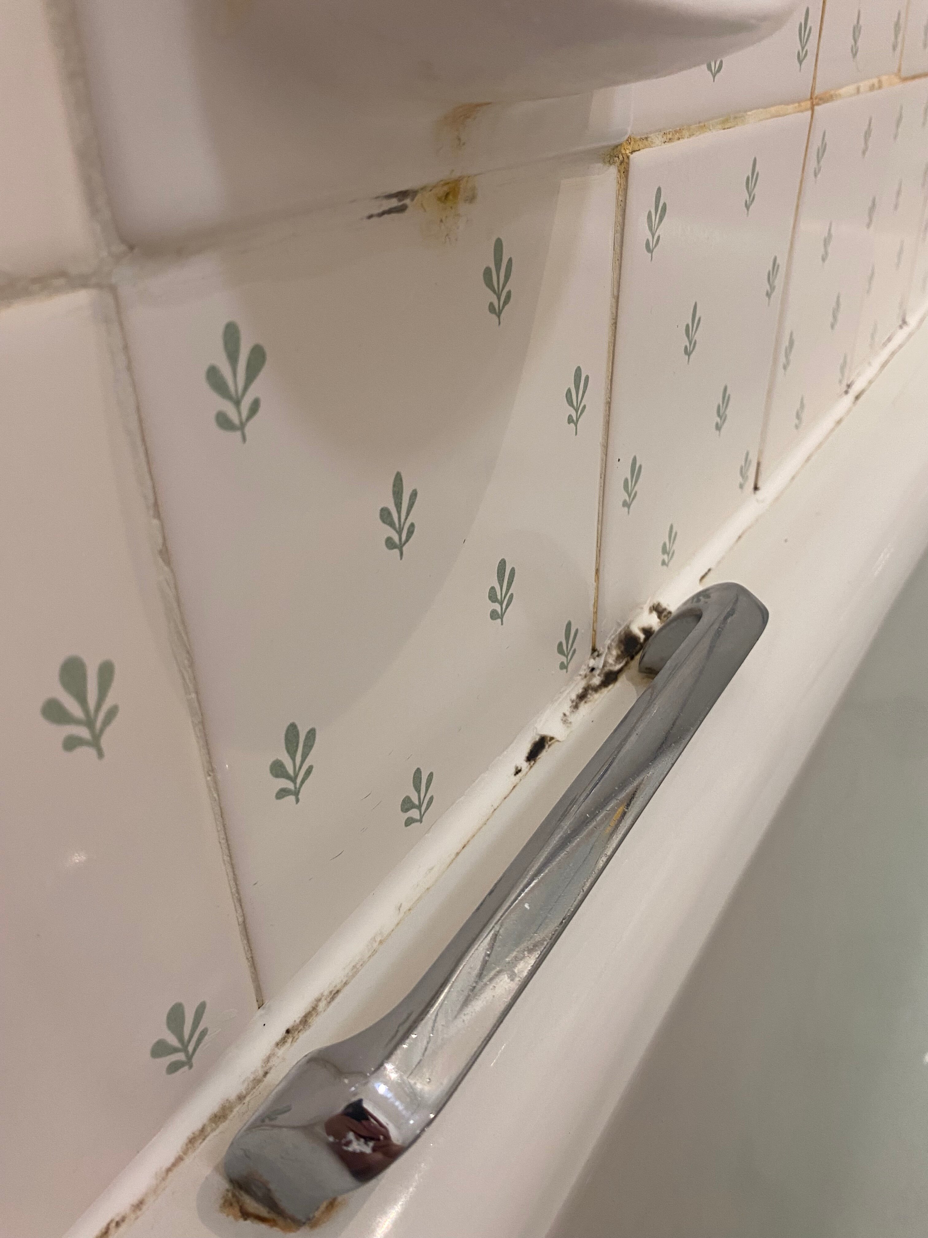 New Bath Hotel and Spa-浴室