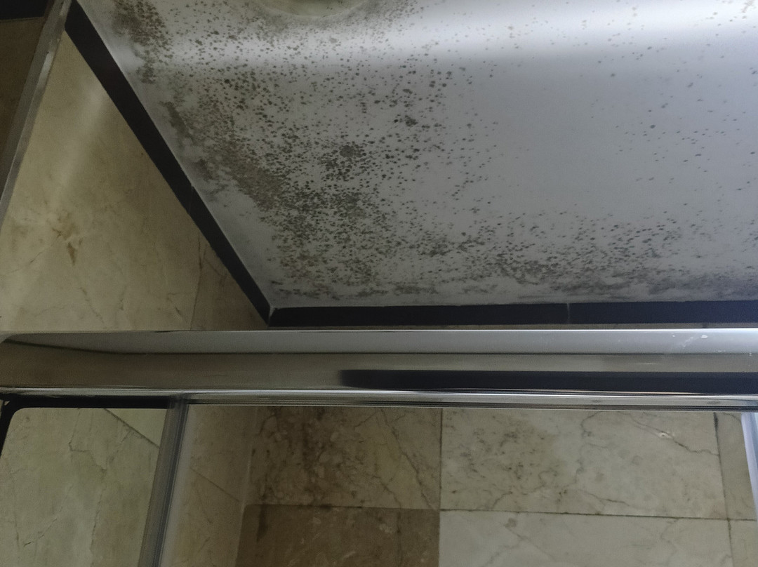 最佳一晚饭店主图