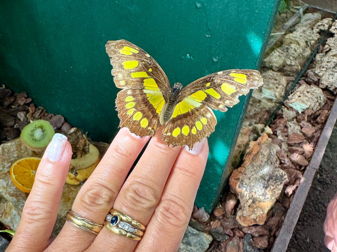 Casa delle Farfalle-Milano Marittima必去景点